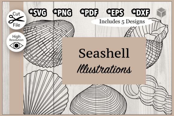 Download Detailed Seashells Outline Bundle - Premium Resources