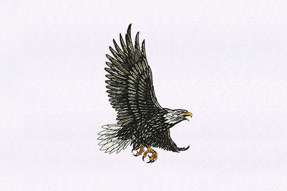 Download Feather Detailed Eagle Design - Premium Resources